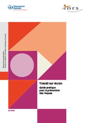 Le travail sur écran. Guide pratique pour la prévention des risques.